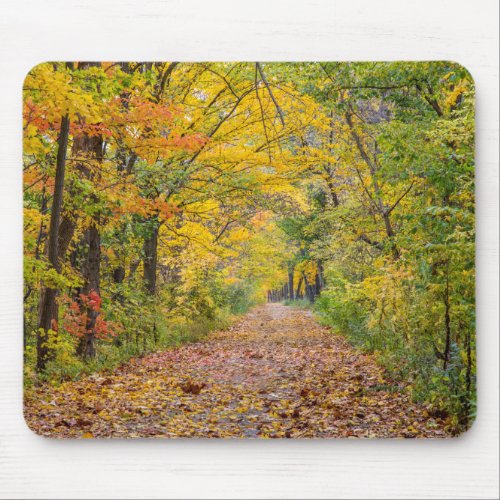Autumn Colors At Independence State Park Mouse Pad