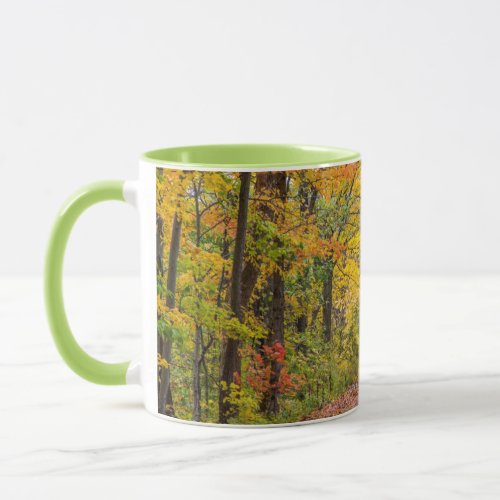Autumn Colors At Independence State Park Mug