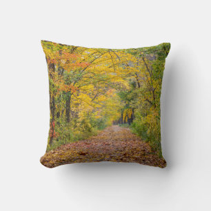 Autumn Colors At Independence State Park Throw Pillow