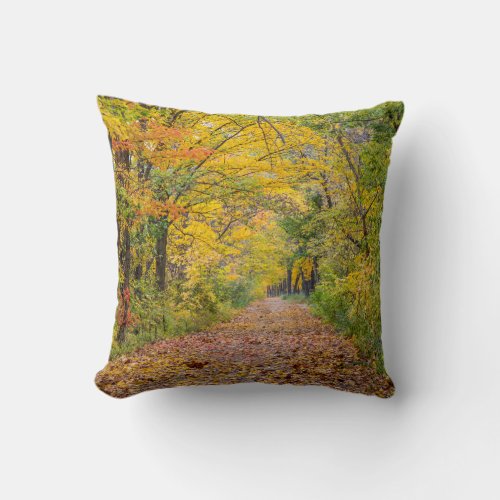 Autumn Colors At Independence State Park Throw Pillow