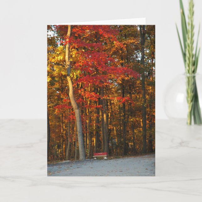 Autumn Colors Brighten Any Day Card (Front)