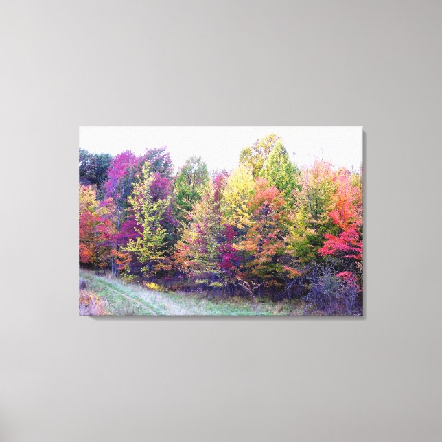 Autumn Colors Canvas Print (Front)
