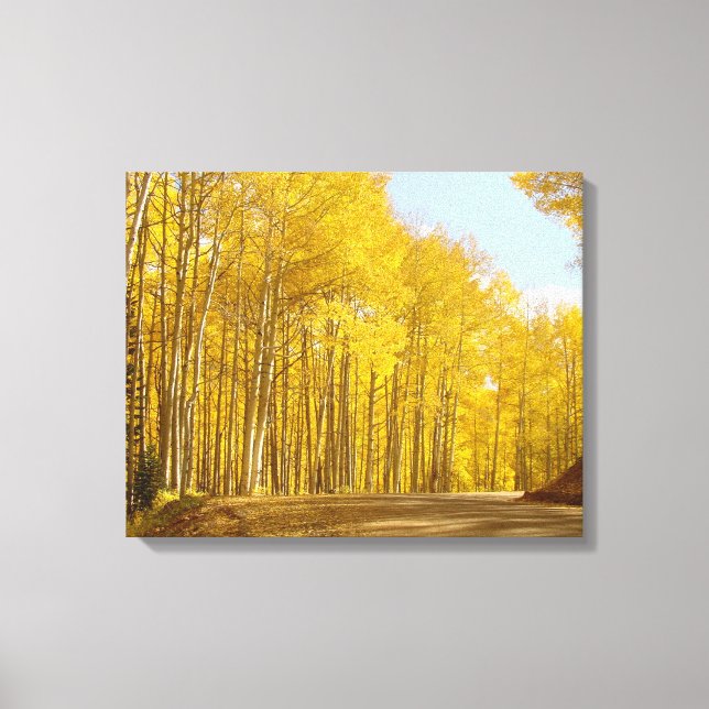 Autumn Colors Canvas Print (Front)