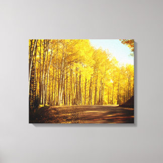 Autumn Colors Canvas Print