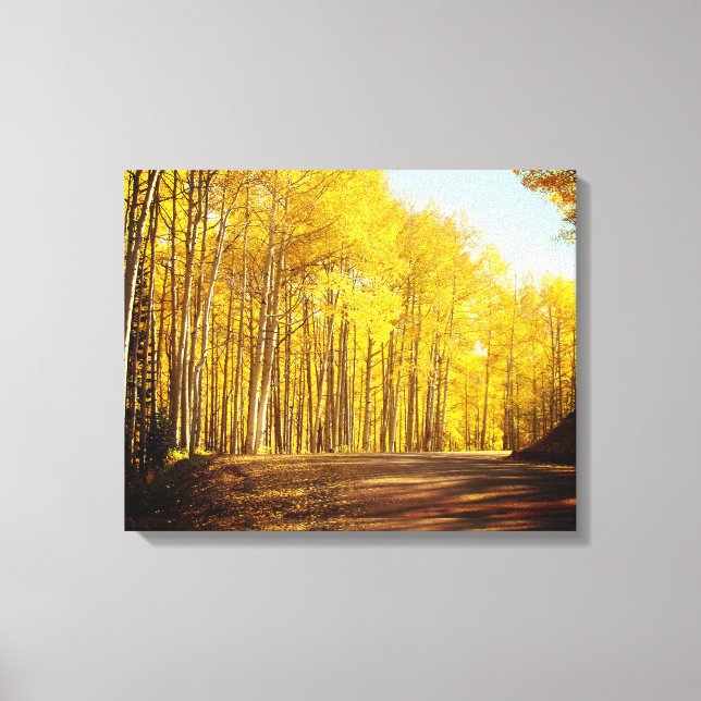 Autumn Colors Canvas Print (Front)