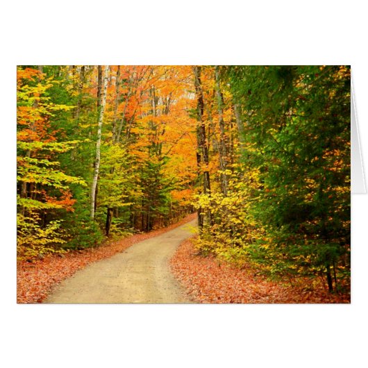 AUTUMN COLORS CARDS (Front Horizontal)