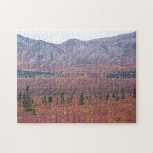 Autumn Colors In Denali Alaska Photograph Jigsaw Puzzle