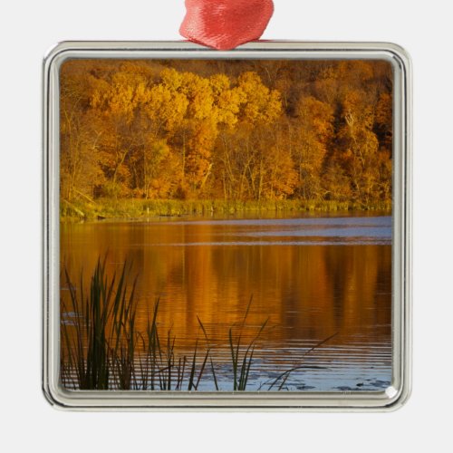 Autumn colors in Maplewood State Park near Metal Ornament
