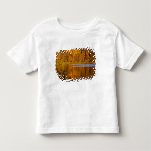Autumn colors in Maplewood State Park near Toddler T_shirt
