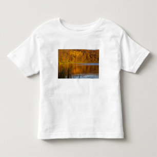 Autumn colors in Maplewood State Park near Toddler T-shirt