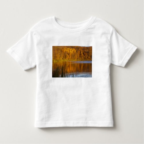 Autumn colors in Maplewood State Park near Toddler T_shirt