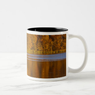 Autumn colors in Maplewood State Park near Two-Tone Coffee Mug