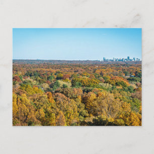 Autumn Colors in Reston Virginia Postcard