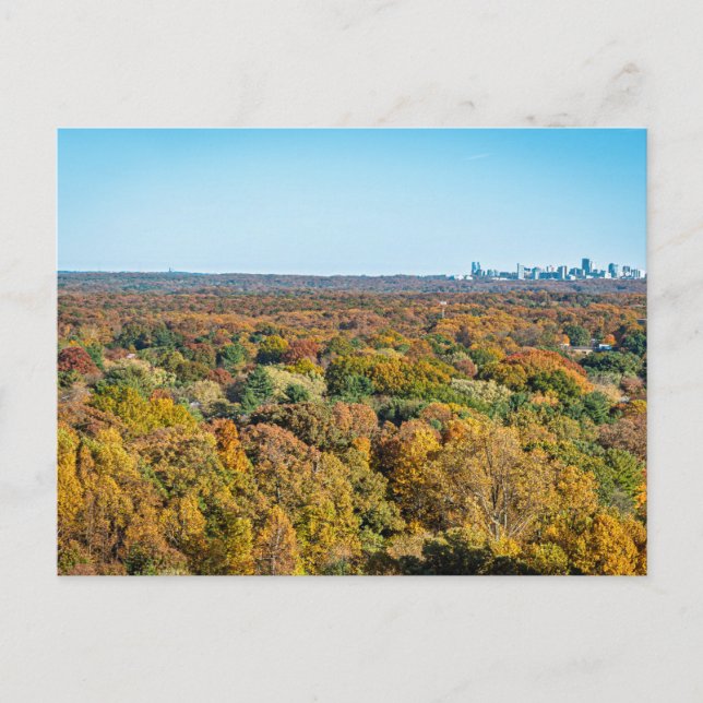 Autumn Colors in Reston Virginia Postcard (Front)