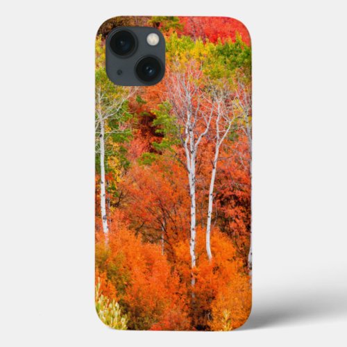 Autumn Colors In Rocky Mountains Wyoming USA iPhone 13 Case