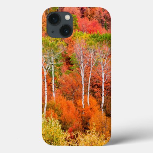 Autumn Colors In Rocky Mountains Wyoming USA iPhone 13 Case