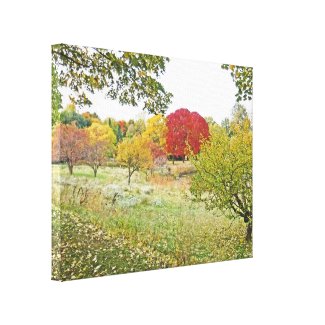 AUTUMN COLORS IN THE PARK