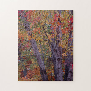 Autumn Colors Jigsaw Puzzle