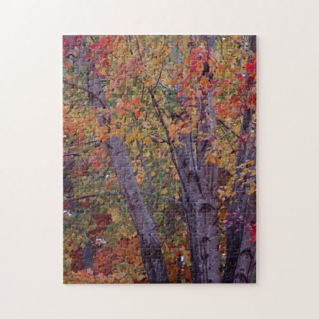 Autumn Colors Jigsaw Puzzle (Vertical)