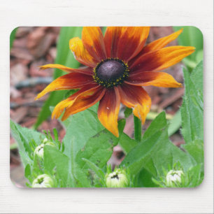 Autumn Colors Mouse Pad