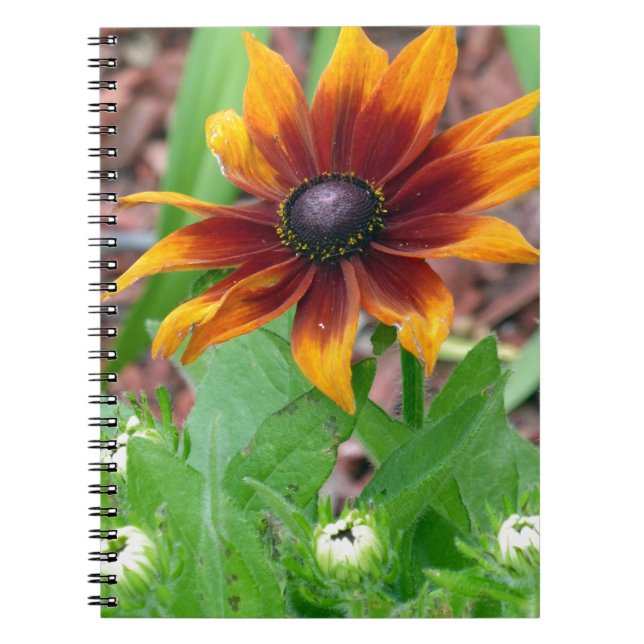 Autumn Colors Notebook (Front)