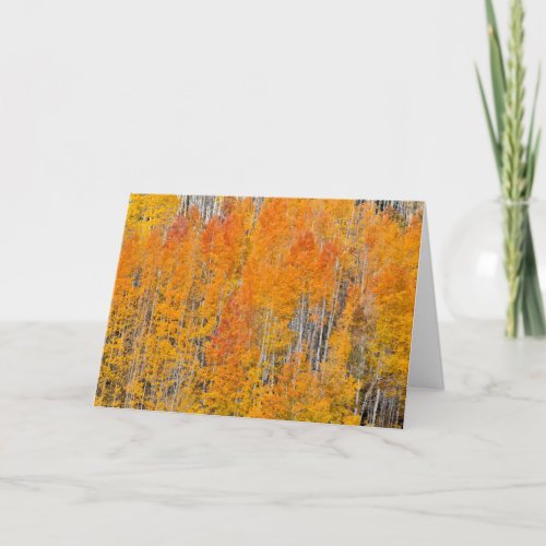 Autumn Colors on Aspen Groves Card