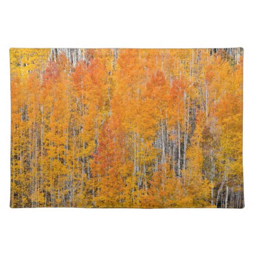 Autumn Colors on Aspen Groves Cloth Placemat