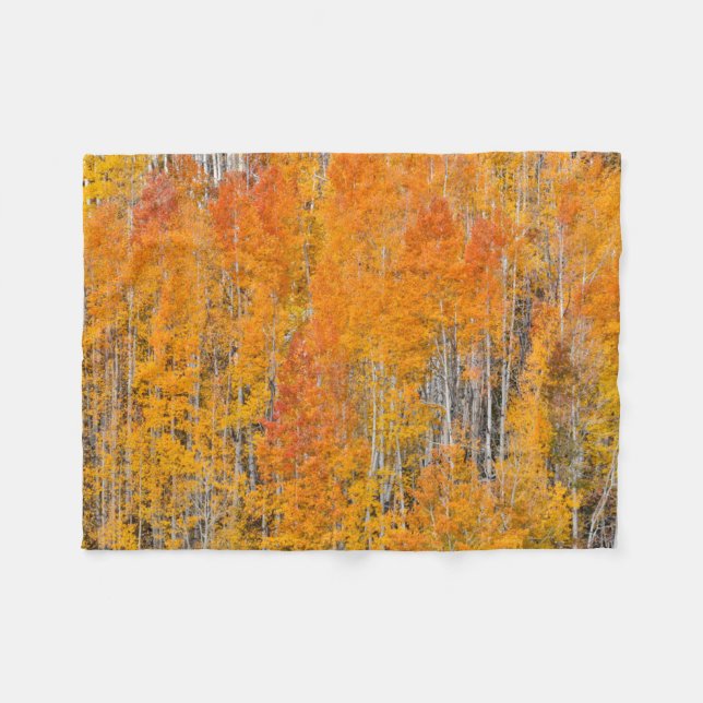 Autumn Colors on Aspen Groves Fleece Blanket (Front (Horizontal))