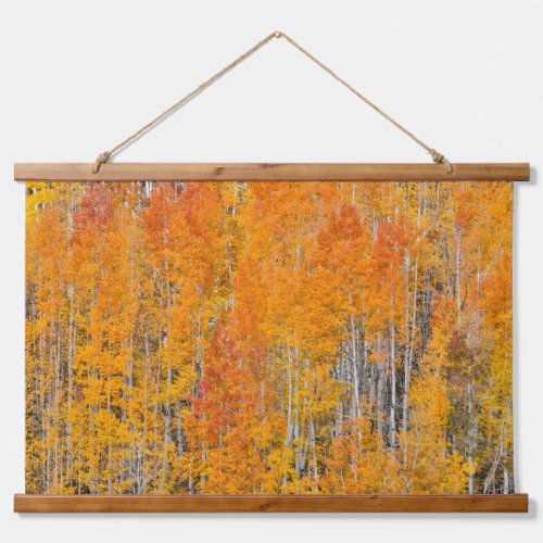 Autumn Colors on Aspen Groves Hanging Tapestry