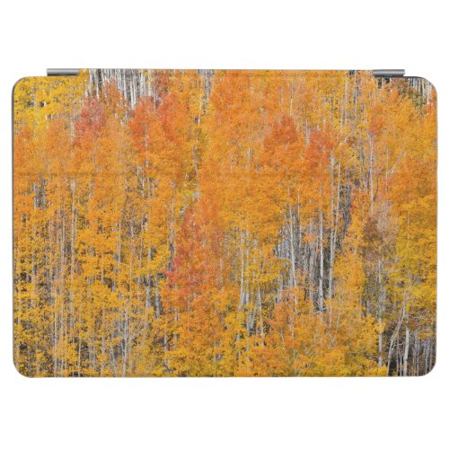 Autumn Colors on Aspen Groves iPad Air Cover