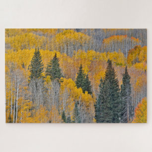 Autumn Colors on Aspen Groves Jigsaw Puzzle
