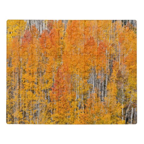 Autumn Colors on Aspen Groves Jigsaw Puzzle