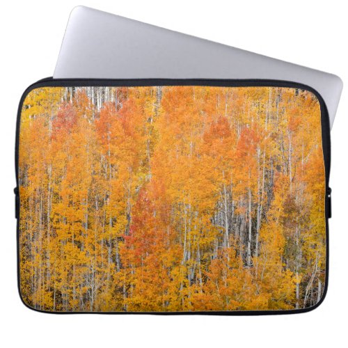 Autumn Colors on Aspen Groves Laptop Sleeve