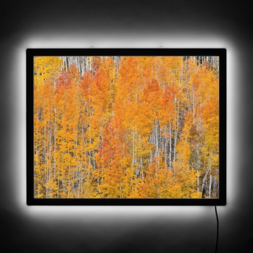 Autumn Colors on Aspen Groves LED Sign