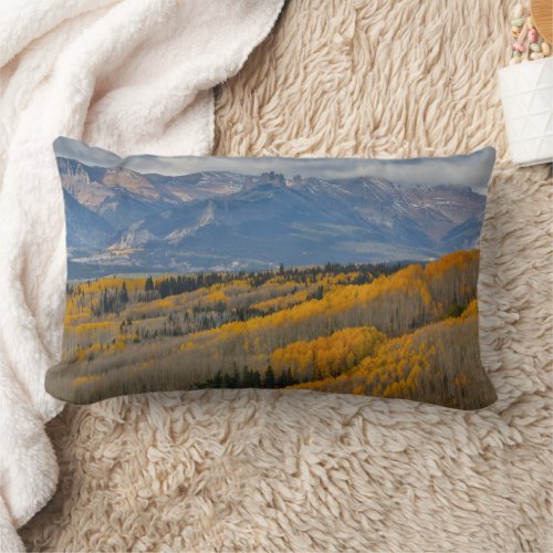 Autumn Colors on Aspen Groves Lumbar Pillow