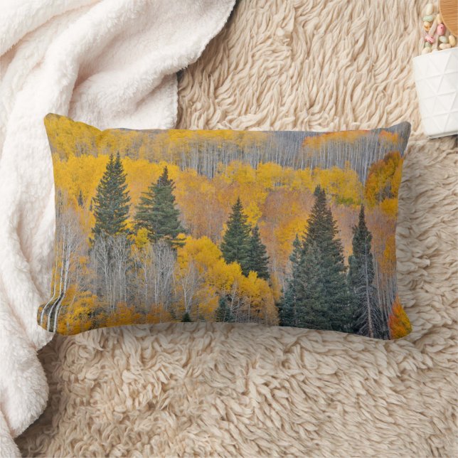 Autumn Colors on Aspen Groves Lumbar Pillow (Blanket)
