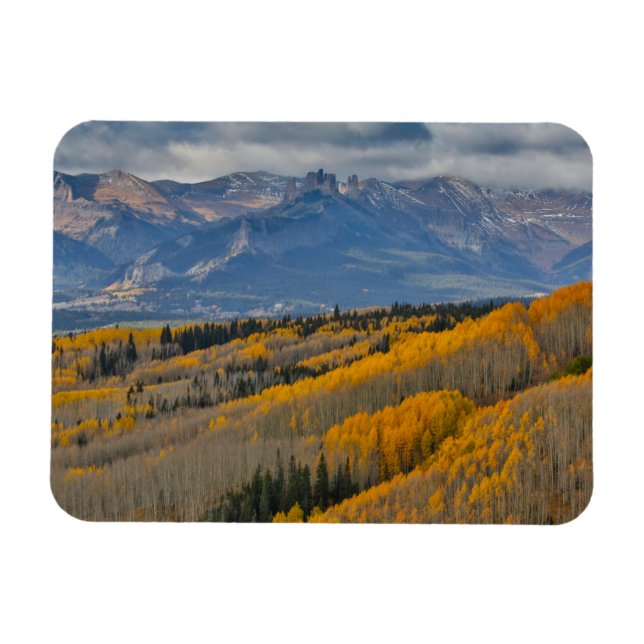 Autumn Colors on Aspen Groves Magnet (Horizontal)