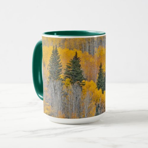 Autumn Colors on Aspen Groves Mug