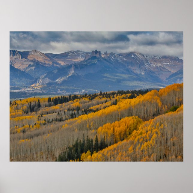 Autumn Colors on Aspen Groves Poster (Front)