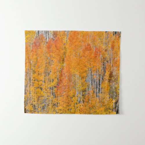 Autumn Colors on Aspen Groves Tapestry