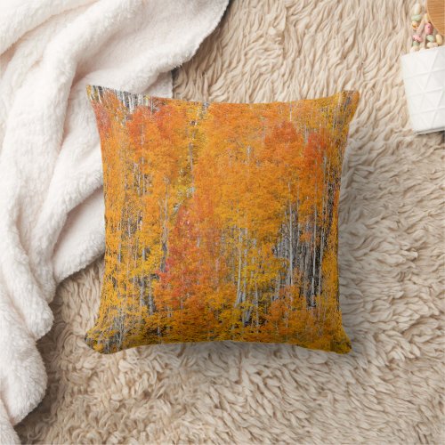 Autumn Colors on Aspen Groves Throw Pillow