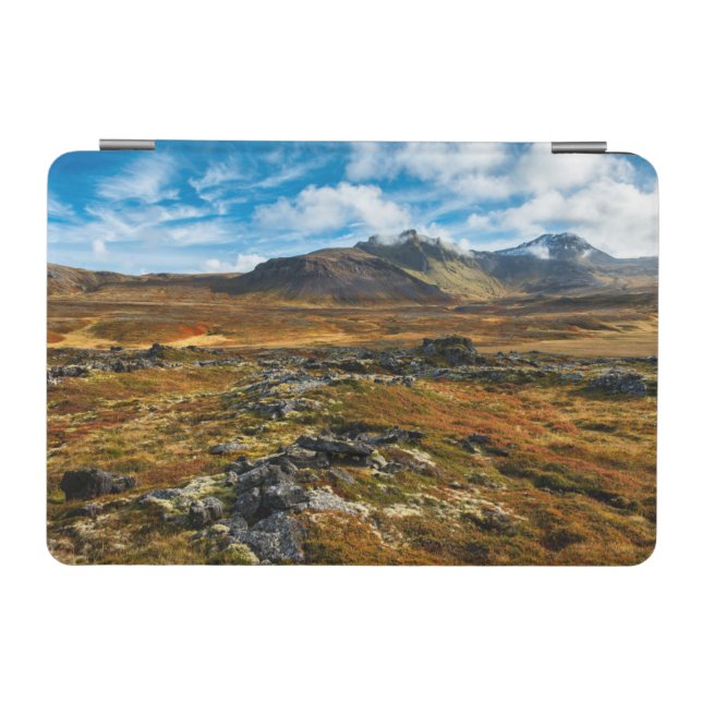 Autumn colors on the landscape iPad mini cover (Horizontal)