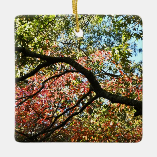 Autumn Colors Ornament  (Front)