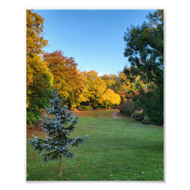 Autumn Colors  Photo Print (Front)