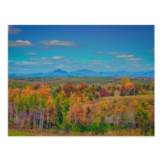 Autumn Colors Postcard
