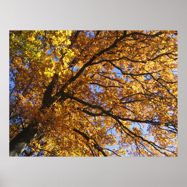 Autumn colors poster (Front)