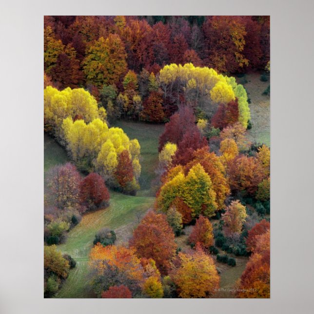 Autumn Colors Poster (Front)