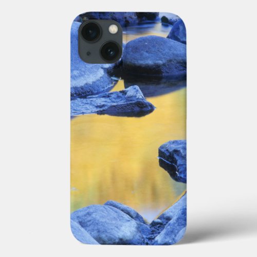 Autumn colors reflected in a wading pool iPhone 13 case