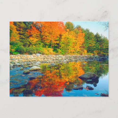 Autumn Colors reflecting in a stream in Vermont Postcard