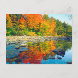 Autumn Colors reflecting in a stream in Vermont Postcard